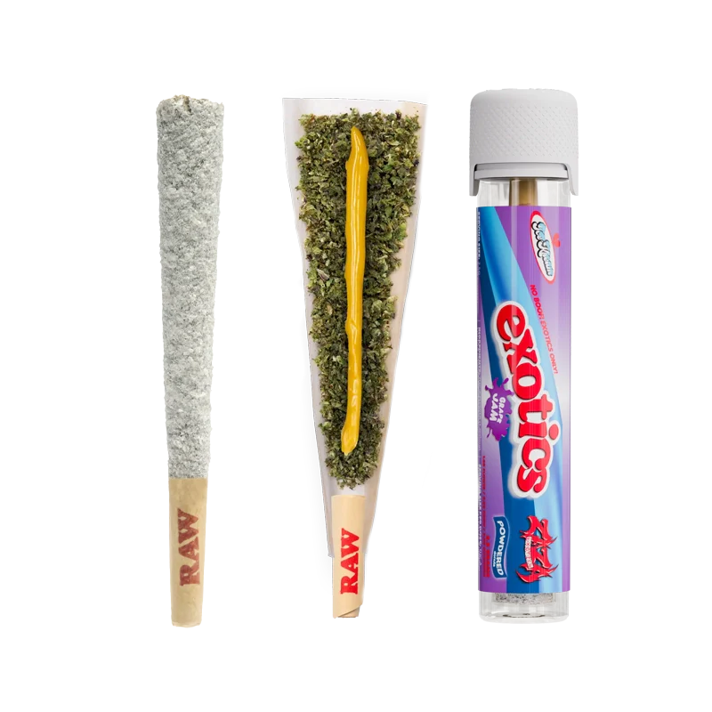 Ice Kream Powdered Donuts Exotics