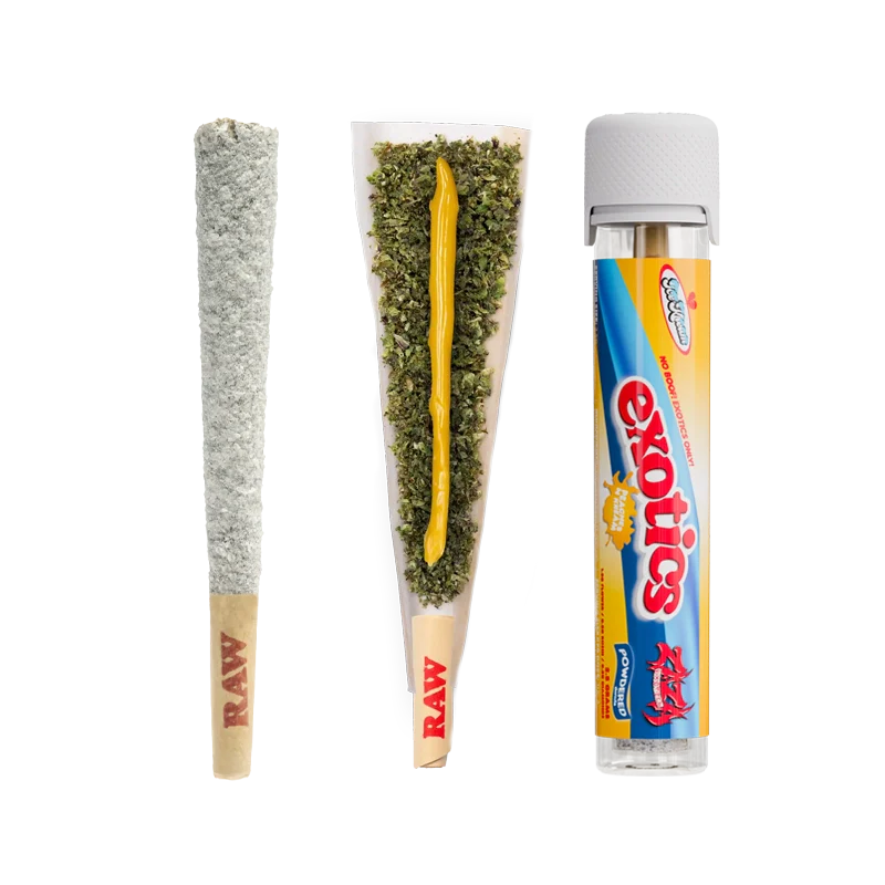 Ice Kream Powdered Donuts Exotics